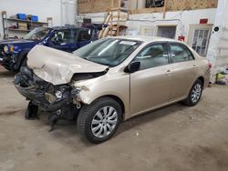 Salvage cars for sale from Copart Ham Lake, MN: 2012 Toyota Corolla Base