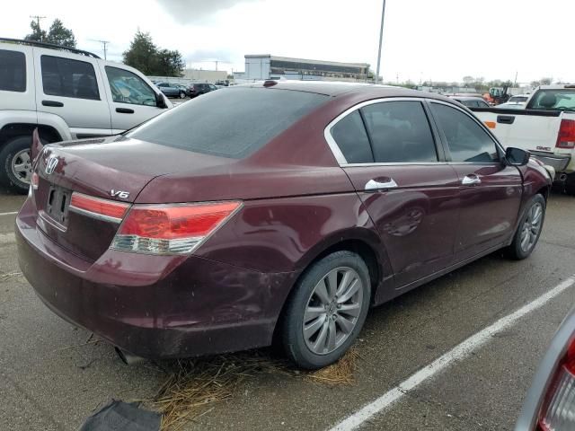 2011 Honda Accord EXL