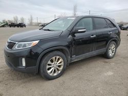 Salvage cars for sale at Montreal Est, QC auction: 2015 KIA Sorento EX