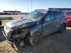Salvage cars for sale at Nisku, AB auction: 2014 Ford Escape SE