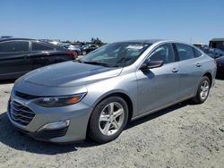 Salvage cars for sale at Antelope, CA auction: 2023 Chevrolet Malibu LS