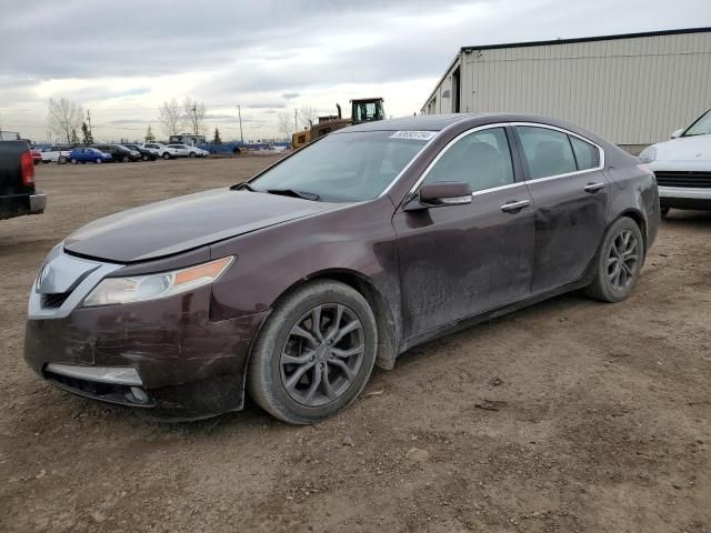 2010 Acura TL