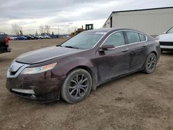 Salvage cars for sale from Copart Rocky View County, AB: 2010 Acura TL