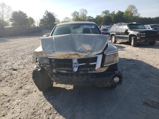 2011 Dodge Dakota SLT