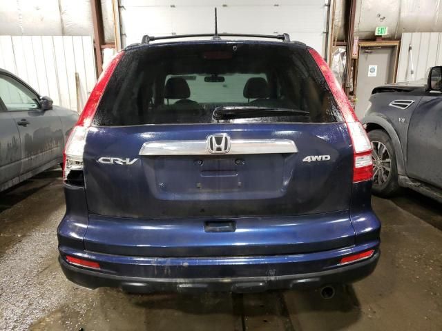 2010 Honda CR-V EXL