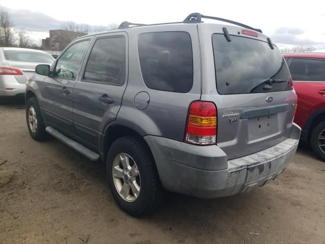 2007 Ford Escape XLT