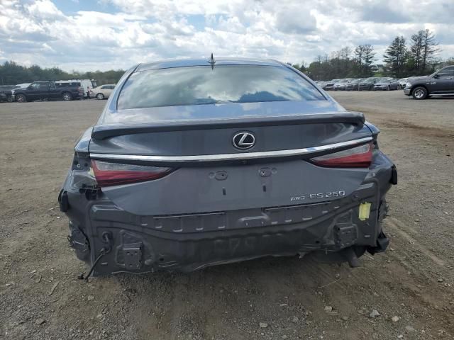 2021 Lexus ES 250 Base