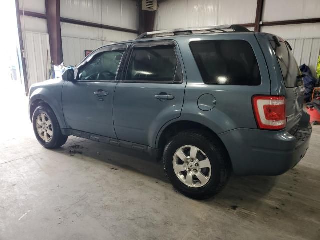 2011 Ford Escape Limited