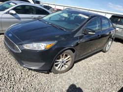 Ford Focus SE salvage cars for sale: 2016 Ford Focus SE