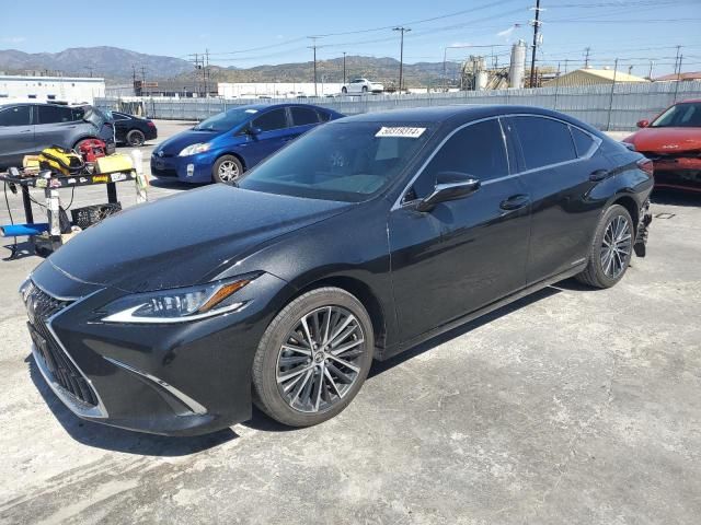 2022 Lexus ES 300H Base