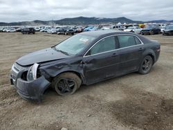 Salvage cars for sale at Helena, MT auction: 2012 Chevrolet Malibu LS