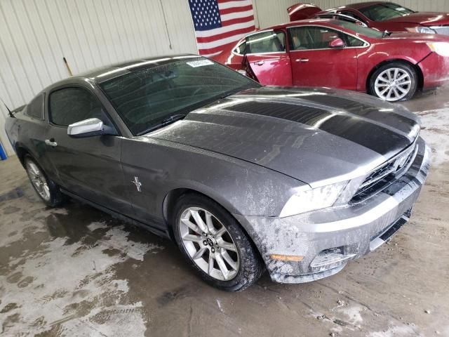 2010 Ford Mustang