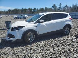 Ford Escape SEL salvage cars for sale: 2013 Ford Escape SEL