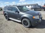 2008 Ford Escape HEV