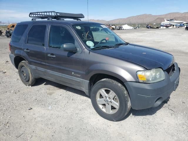 2006 Ford Escape HEV