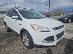 Salvage cars for sale at Columbus, OH auction: 2013 Ford Escape SE