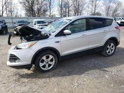 2014 Ford Escape SE for sale in Leroy, NY