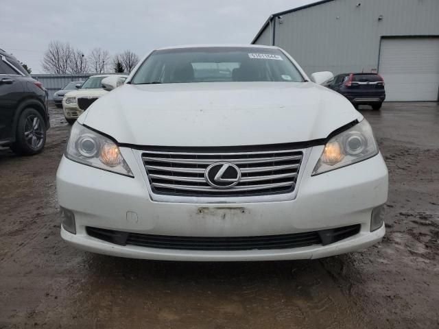 2010 Lexus ES 350