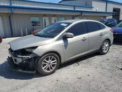 Salvage cars for sale from Copart Earlington, KY: 2016 Ford Focus SE