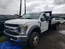 Salvage trucks for sale at Kapolei, HI auction: 2019 Ford F550 Super Duty