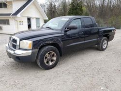 Salvage cars for sale at Northfield, OH auction: 2005 Dodge Dakota Quad SLT