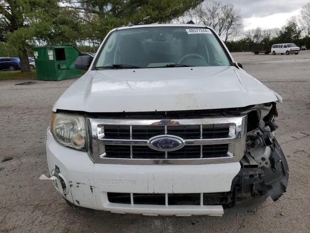 2009 Ford Escape XLT