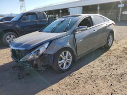 Salvage cars for sale at Phoenix, AZ auction: 2011 Hyundai Sonata SE