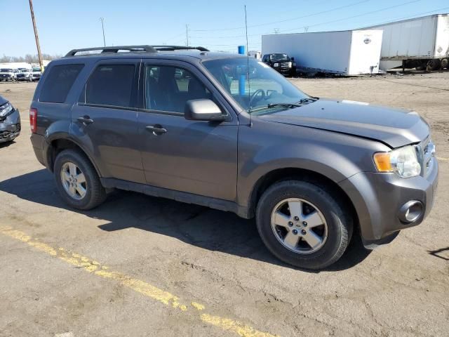 2011 Ford Escape XLT