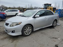 Toyota Vehiculos salvage en venta: 2009 Toyota Corolla Base