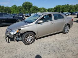 Vehiculos salvage en venta de Copart Conway, AR: 2010 Toyota Corolla Base