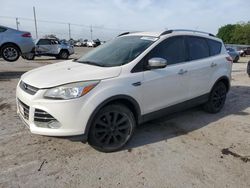 Salvage cars for sale at Oklahoma City, OK auction: 2014 Ford Escape SE