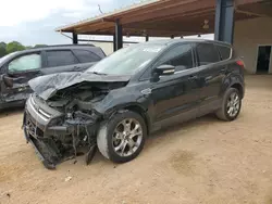 Salvage cars for sale at Tanner, AL auction: 2013 Ford Escape SEL
