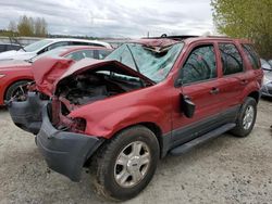 Ford Escape XLT Vehiculos salvage en venta: 2004 Ford Escape XLT