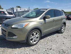 Ford Escape SEL salvage cars for sale: 2013 Ford Escape SEL