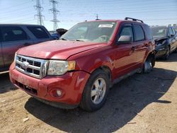 Salvage cars for sale at Elgin, IL auction: 2010 Ford Escape XLT
