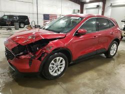 Salvage cars for sale from Copart Avon, MN: 2021 Ford Escape SE