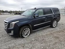 Salvage cars for sale at Lawrenceburg, KY auction: 2020 Cadillac Escalade Luxury