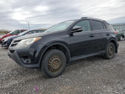 Salvage cars for sale at Ottawa, ON auction: 2013 Toyota Rav4 LE