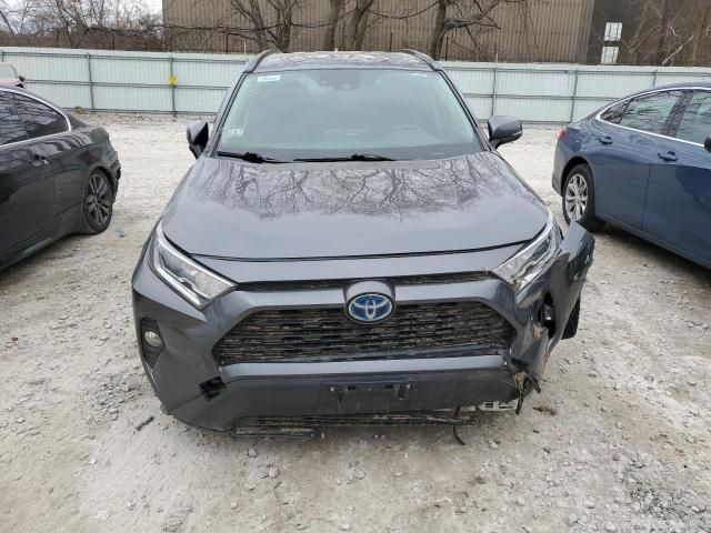 2019 Toyota Rav4 XLE