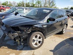 Salvage cars for sale at Bridgeton, MO auction: 2016 Ford Escape SE
