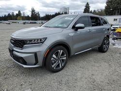 Salvage cars for sale at Graham, WA auction: 2023 KIA Sorento EX