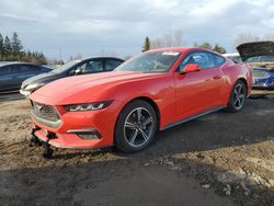Salvage cars for sale from Copart Ontario Auction, ON: 2024 Ford Mustang