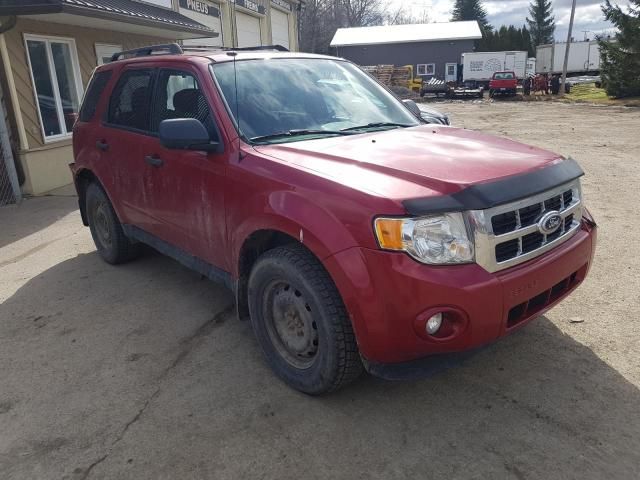 2011 Ford Escape XLT