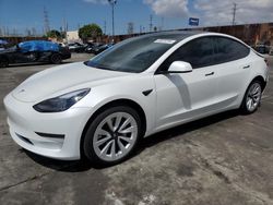 Salvage cars for sale at Wilmington, CA auction: 2023 Tesla Model 3