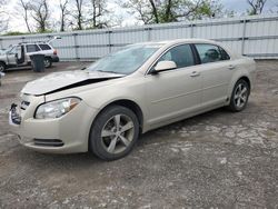 Salvage cars for sale at West Mifflin, PA auction: 2011 Chevrolet Malibu 1LT