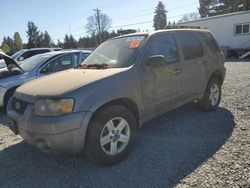 Salvage cars for sale at Graham, WA auction: 2007 Ford Escape HEV