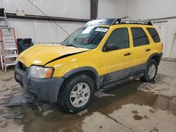 Ford Escape salvage cars for sale: 2003 Ford Escape XLT