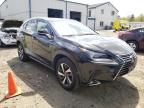 2019 Lexus NX 300 Base