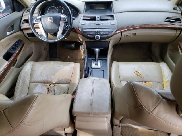 2008 Honda Accord EXL