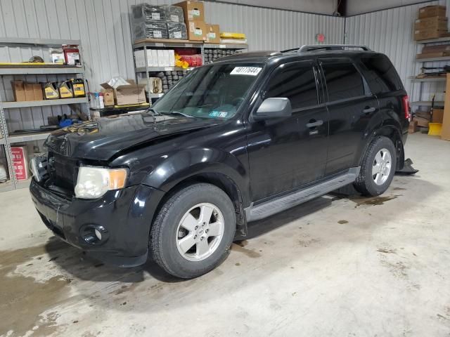 2011 Ford Escape XLT